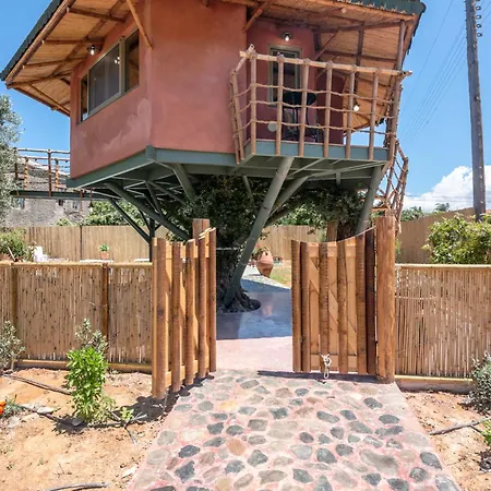 Camping Eco Olive Treehouse