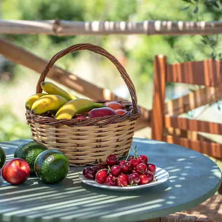 Eco Olive Treehouse Camping *