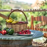 Eco Olive Treehouse キャンプ場 ハニア