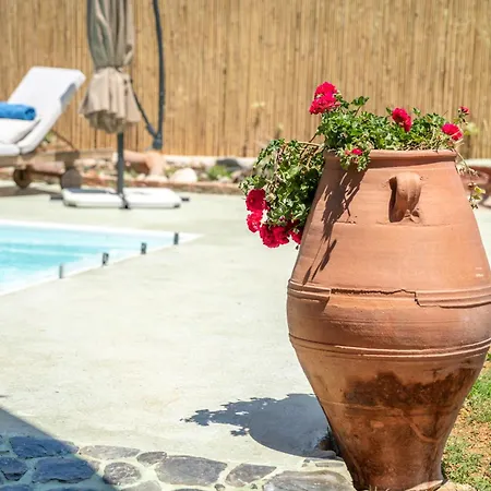 Eco Olive Treehouse Camping *