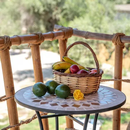 Eco Olive Treehouse キャンプ場