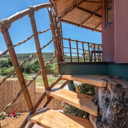 Eco Olive Treehouse キャンプ場 *