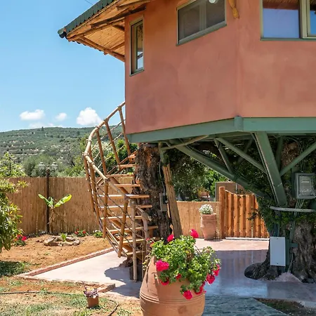 Eco Olive Treehouse مكان تخييم