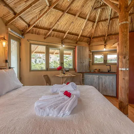 Eco Olive Treehouse *