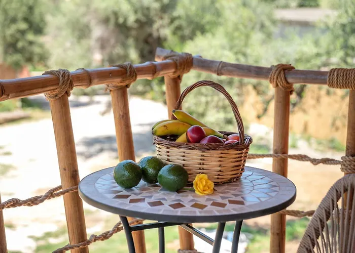 Eco Olive Treehouse 营地