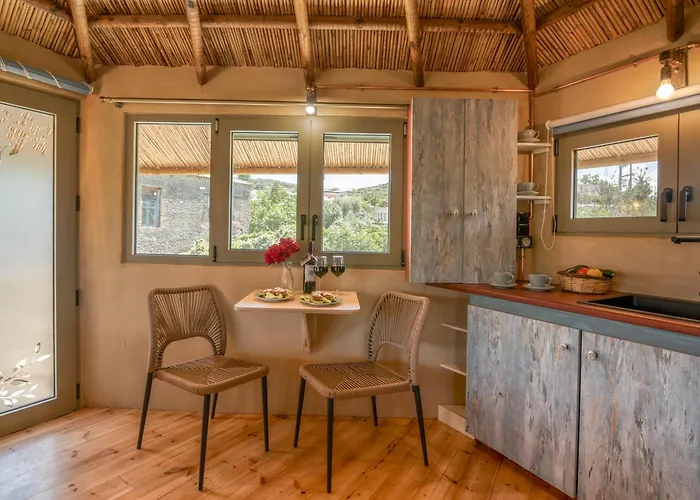 Eco Olive Treehouse 营地