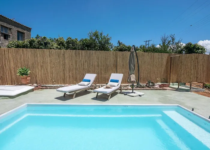 Eco Olive Treehouse 营地