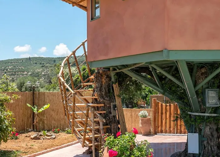 Eco Olive Treehouse 营地