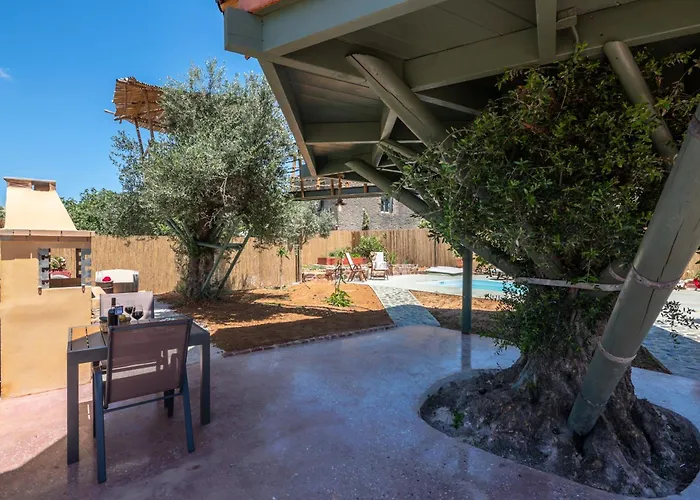 营地 Eco Olive Treehouse *