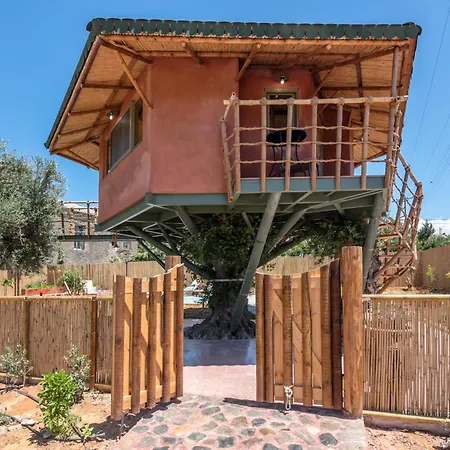 Eco Olive Treehouse *