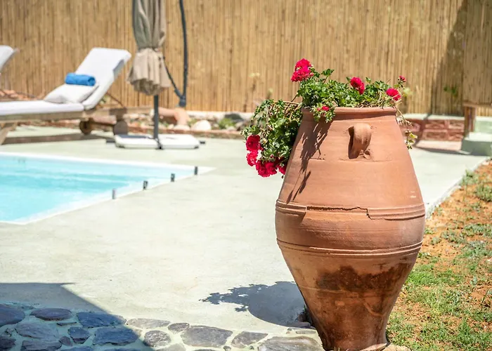 Eco Olive Treehouse Kemping *